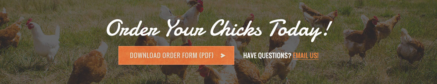 Order your Chicks Today!