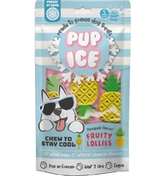 Ethical Pet Pup Ice Fruity Lollies, Ready to Freeze Dog Treats ...
