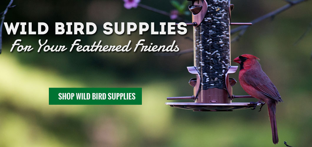 Wild BIrd Supplies